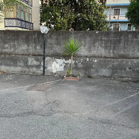 Casa Tropicana
